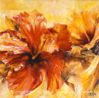 hibiskus
