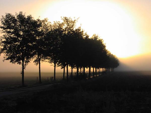 der Weg