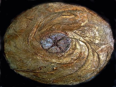 goldmaterialbild